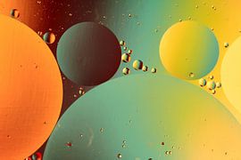 Olie Bellen sur Marcel van Rijn