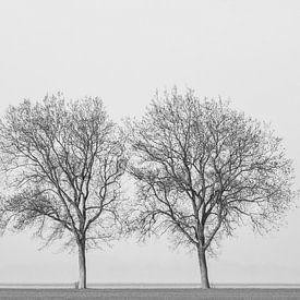 Two in silence by Rick Goede