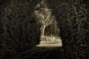 Passage mystique
