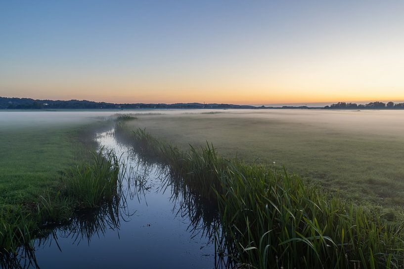 Cow fog over coastal meadow near Schoorl by Bram Lubbers