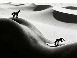 Between the Dunes by Retinas images