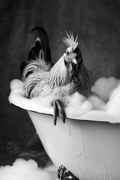 Hahn in der Badewanne - Ein lustiges Badezimmer Bild von Felix Brönnimann