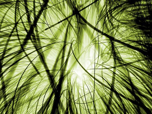 Verweven grassprieten in een ander licht - groen