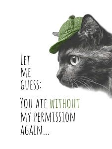 Cool Cat – Food Detective