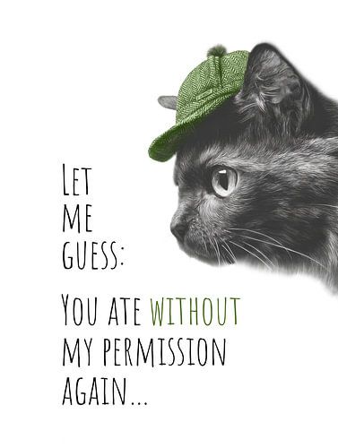 Coole kat - voedseldetective