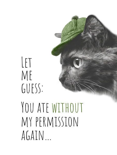 Coole Katze – Essens-Detektiv von Melanie Viola