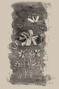 Feldblumen - Holzkohlezeichnung