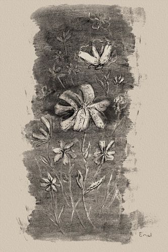 Veldbloemen - houtskool tekening