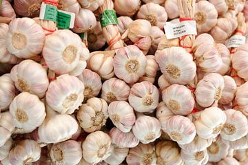 Garlic by Margot van den Berg