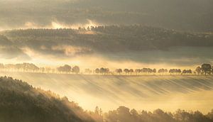 Morgenlicht in der Sächsischen Schweiz