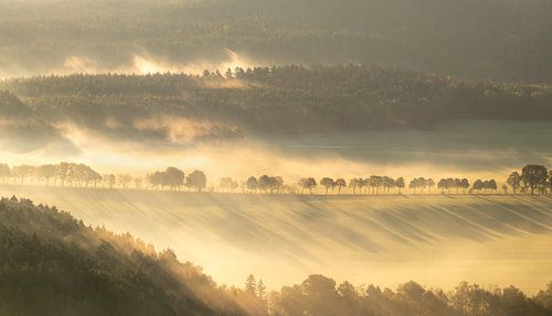 Ochtendlicht in Saksisch Zwitserland van Nils Steiner