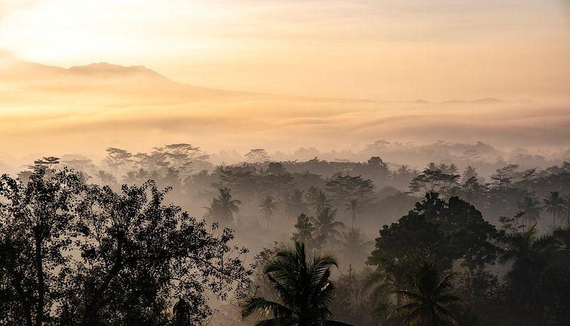 Morgens von Lex Scholten