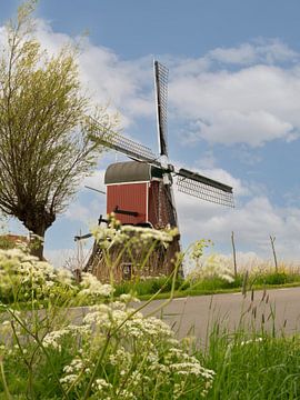 Mills. Holland. Woman Vennemolen near Oud Ade. by Alie Ekkelenkamp