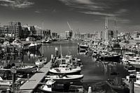Scheveningen harbor