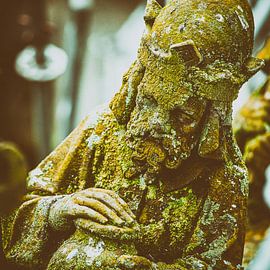 Die Luftbilder der St. John's Cathedral in 's-Hertogenbosch, von Marcel Bakker