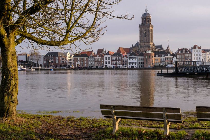 Zicht op Deventer van Willem Laros | Reis- en landschapsfotografie
