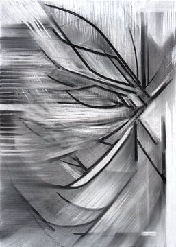 meditations-s003-1__2011 van Hans Zantman
