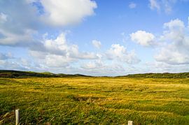 Zeeland's nature