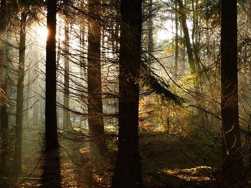 Niets nieuws onder de zon