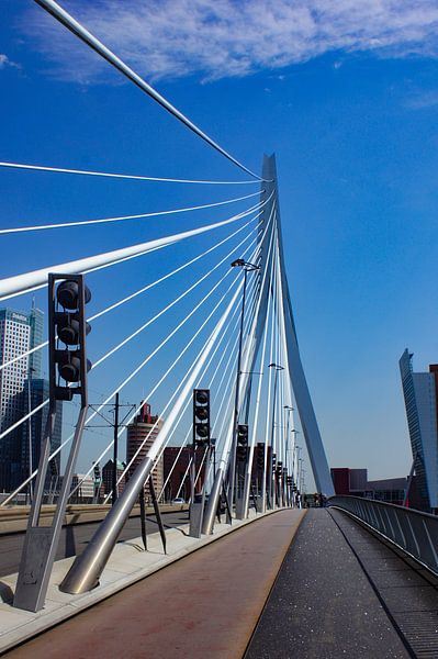 Erasmus Brücke Rotterdam von ticus media