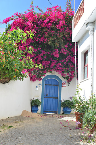 Berühmte „Blaue Tür“ gerahmt von pinken Bougainvillea in Burgau