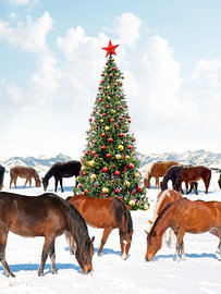Die Pferde des Weihnachts's von Gal Design