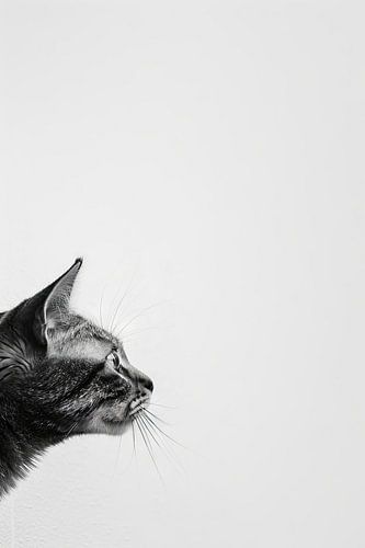 Neugierige Katze