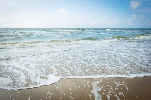 Nederland | Nederlandse kust | Natuurfotografie