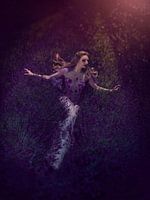 Flying in the lavender