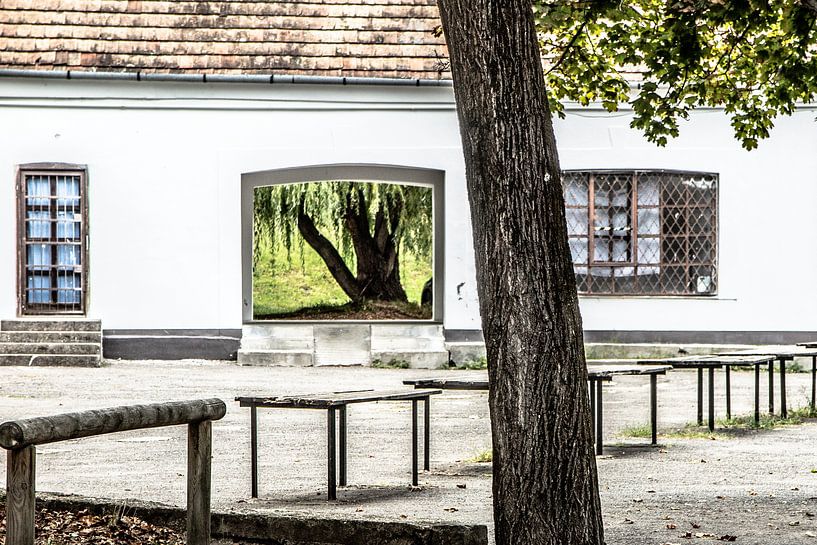 Blick auf den Baum vom Innenhof aus von Eric van Nieuwland