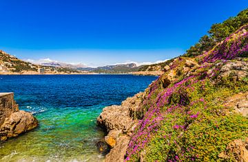 Vue magnifique de Port de Andratx, paysage idyllique de la baie de Majorque sur Alex Winter