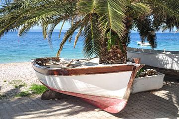 aan de Makarska Riviera bij Brela