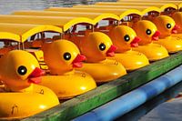 Boot Enten