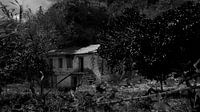 abandoned farm on Lefkas in black and white