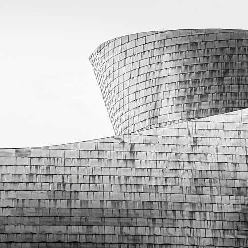 Guggenheim Museum, Bilbao in Zwart-Wit