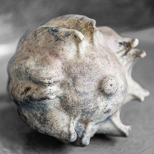 Natürliche, kreative Formen, in Sandfarbe.