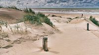 Noordzee met de Nederlandse duinen van eric van der eijk thumbnail