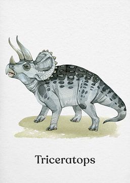 Triceratops van Gal Design