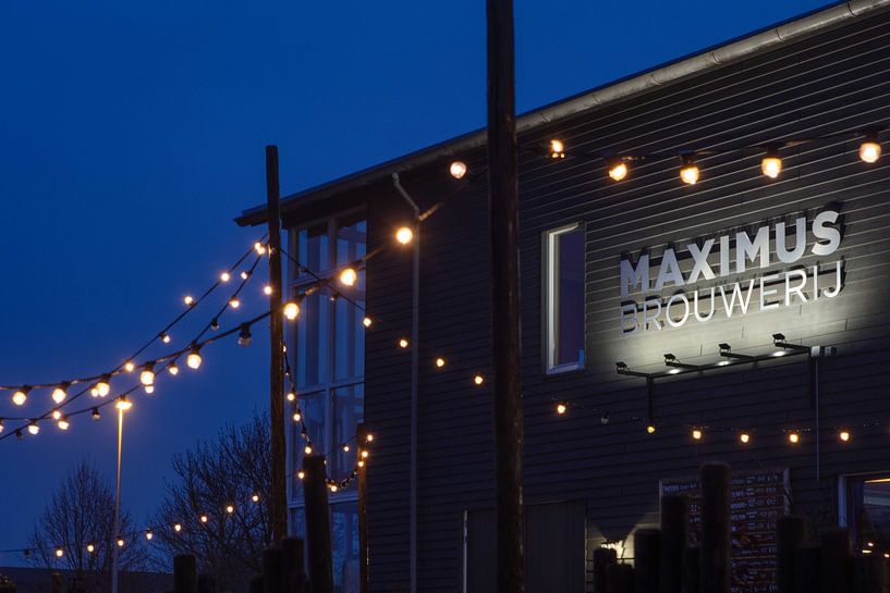Maximus Brewery by pauline smale