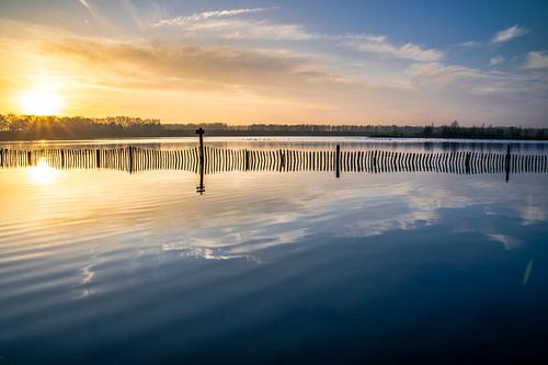 Gouden stilte aan het water