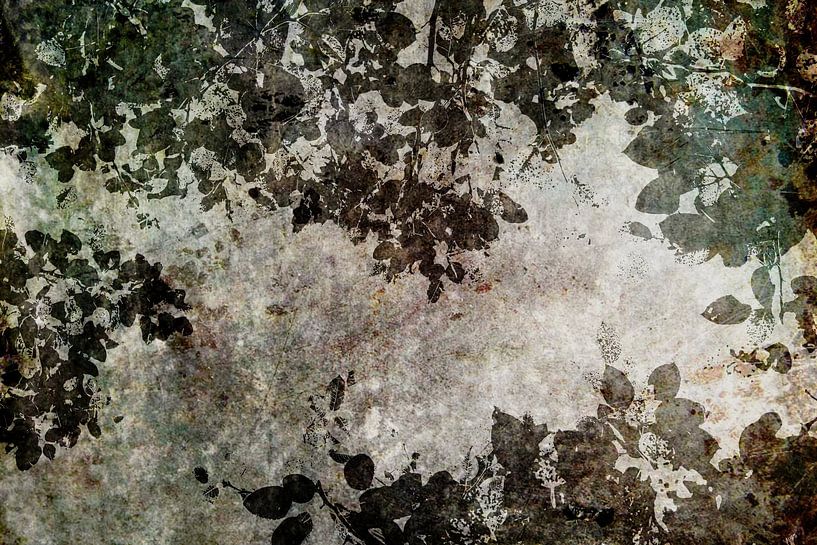 Herbst im Wald von HMS