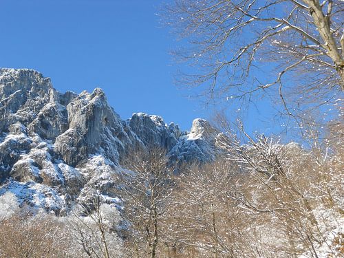 Untersberg - Blick auf die schroffen Felswände der Ostflanke