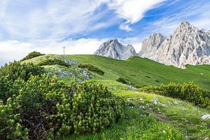 Berglandschaft "Auf zum Gipfel"