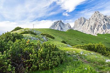 Berglandschap "Op naar de bergtop" van Coen Weesjes