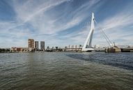 Erasmusbrug Rotterdam van Brian Morgan thumbnail