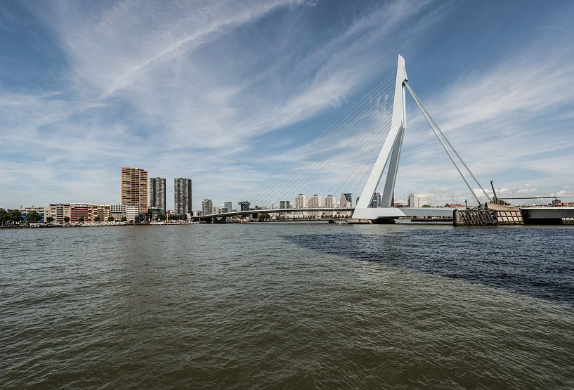 Erasmusbrug Rotterdam von Brian Morgan