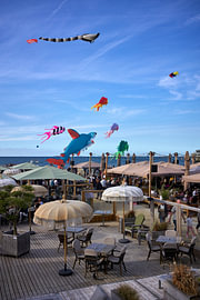 Vliegers op het strand van Scheveningen