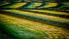 Gemaaid gras op het platteland van Vathorst van Studio de Waay thumbnail