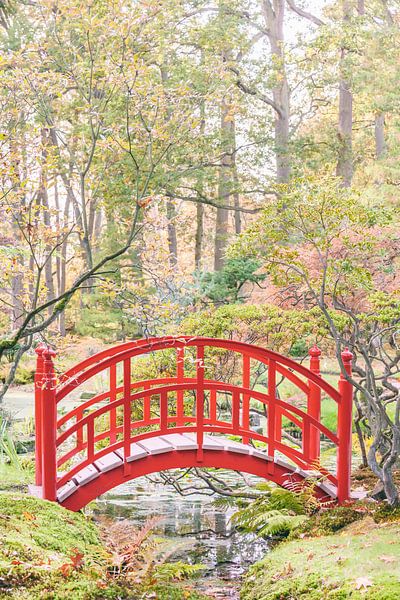 The Japanese Garden by Martin Bergsma