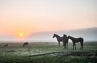 Platteland part 38 van Tania Perneel thumbnail